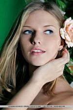 Swinging Through Your Dreams